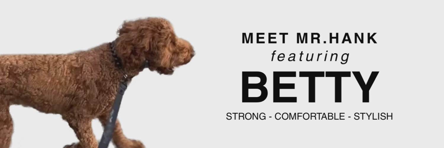 Load video: Video of Hank the Doodle wearing the Betty Beaded Pet Collar from POPNCO