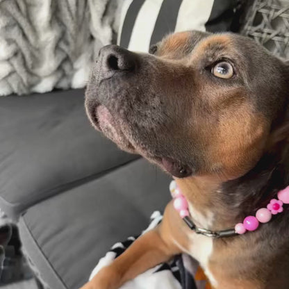 ODESSA Pink